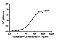 Product Element Image